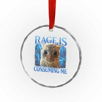 Rage Is Consuming Me Cat Meme Crystal Glass Ornament Funny Weird Humor Cat Face Bootleg TS10