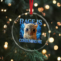 Rage Is Consuming Me Cat Meme Crystal Glass Ornament Funny Weird Humor Cat Face Bootleg - Wonder Print Shop