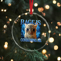 Rage Is Consuming Me Cat Meme Crystal Glass Ornament Funny Weird Humor Cat Face Bootleg TS10