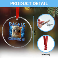 Rage Is Consuming Me Cat Meme Crystal Glass Ornament Funny Weird Humor Cat Face Bootleg TS10