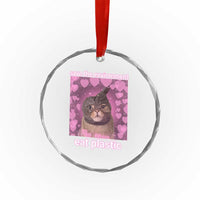 Save The Environment Eat Plastic Crystal Glass Ornament Funny Cute Cat Meme - Wonder Print Shop