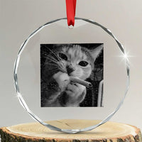 Smoking Cat Y2K Crystal Glass Ornament Vintage Grunge Cat Edgy Retro 90s Streetwear - Wonder Print Shop