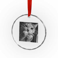 Smoking Cat Y2K Crystal Glass Ornament Vintage Grunge Cat Edgy Retro 90s Streetwear - Wonder Print Shop