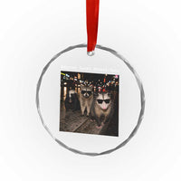 Support Local Street Cats Crystal Glass Ornament Funny Raccoon Skunk Possum Animal Meme