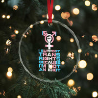 Trans Ally Crystal Glass Ornament Transgender Pride Flag Support TS10