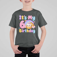 Its My 6th Birthday Kawaii Glitter Dumpling Graphic T Shirt For Kid Cute 6 Years Old Rainbow Bday Girl Party