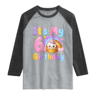 Its My 6th Birthday Kawaii Glitter Dumpling Graphic Raglan Shirt Cute 6 Years Old Rainbow Bday Girl Party