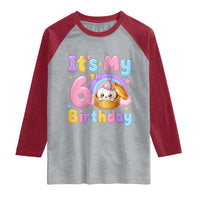 Its My 6th Birthday Kawaii Glitter Dumpling Graphic Raglan Shirt Cute 6 Years Old Rainbow Bday Girl Party