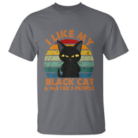 Cat Lover T Shirt I Like My Black Cat & Maybe 3 People - Wonder Print Shop
