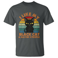 Cat Lover T Shirt I Like My Black Cat & Maybe 3 People - Wonder Print Shop