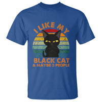 Cat Lover T Shirt I Like My Black Cat & Maybe 3 People - Wonder Print Shop