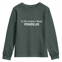 It's Still The Gulf Of Mexico Pendejo Youth Sweatshirt Golfo De Mexico
