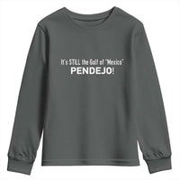 It's Still The Gulf Of Mexico Pendejo Youth Sweatshirt Golfo De Mexico