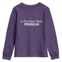 It's Still The Gulf Of Mexico Pendejo Youth Sweatshirt Golfo De Mexico