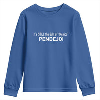 It's Still The Gulf Of Mexico Pendejo Youth Sweatshirt Golfo De Mexico