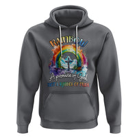 God's Promise Hoodie Rainbow A Promise Of God Not A Symbol Of Pride - Wonder Print Shop