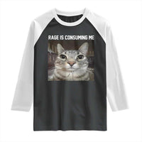 Funny Silly Cat Meme Raglan Shirt Rage Is Consuming Me Staring