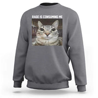 Funny Silly Cat Meme Sweatshirt Rage Is Consuming Me Staring - Wonder Print Shop