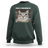 Funny Silly Cat Meme Sweatshirt Rage Is Consuming Me Staring - Wonder Print Shop