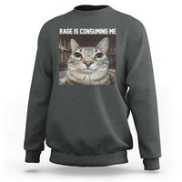 Funny Silly Cat Meme Sweatshirt Rage Is Consuming Me Staring - Wonder Print Shop