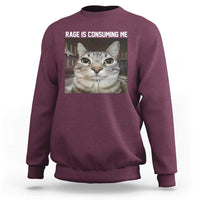 Funny Silly Cat Meme Sweatshirt Rage Is Consuming Me Staring - Wonder Print Shop