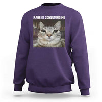 Funny Silly Cat Meme Sweatshirt Rage Is Consuming Me Staring - Wonder Print Shop