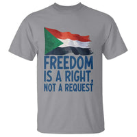 Freedom Is a Right Not a Request T Shirt Sudan Flag Human Rights Supporters - Wonder Print Shop