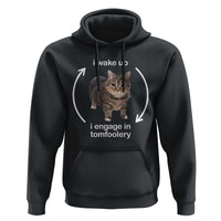 Funny Silly Cat Meme Hoodie I Wake Up I Engage In Tomfoolery
