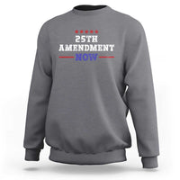 25th Amendment Now Patriotic Sweatshirt Red White and Blue Political Satire