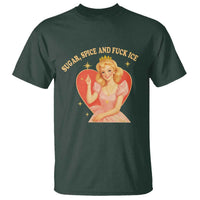 Sugar Spice and F Ice Retro Fairy T Shirt Feminist Against Ice Protest Political Resistance