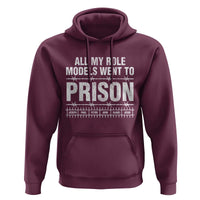 All My Role Models Went To Prison Hoodie Biblical History Heroes Faith Statement