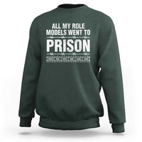 All My Role Models Went To Prison Sweatshirt Biblical History Heroes Faith Statement