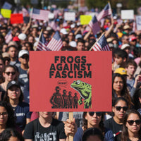 Frogs Against Fascism Protest Sign Resist 2025 Free Portland Protest - Wonder Print Shop