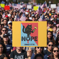 Nope Since 1776 Sarcastic Black Cat Protest Sign Funny No Kings In America Patriotic Protest - Wonder Print Shop