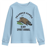 Trashed Panda Is My Spirit Animal Youth Sweatshirt Funny Drunk Raccoon Meme for Party People Hot Mess Energy - Wonder Print Shop
