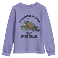 Trashed Panda Is My Spirit Animal Youth Sweatshirt Funny Drunk Raccoon Meme for Party People Hot Mess Energy - Wonder Print Shop