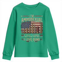 Funny Patriotic Second Amendment Humor American Flag Youth Sweatshirt Im Ammosexual I Love Guns Owners Veterans