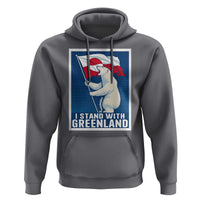I Stand With Greenland Polar Bear Resist Hoodie Vintage Patriotic Propaganda Sovereignty Protest
