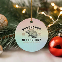 Groundhog Meteorology Ceramic Ornament Estd 1887 Accurate 50 Percent Of The Time Woodchuck - Wonder Print Shop