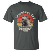 Groundhog Day Is My Birthday T Shirt Funny Woodchuck Retro Vintage