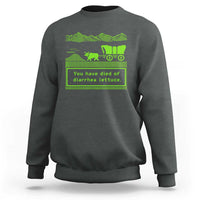 Retro 8-Bit Pixel 80s Game Over Parody Graphic Sweatshirt You Have Died Of Diarrhea Lettuce