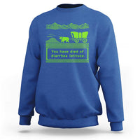Retro 8-Bit Pixel 80s Game Over Parody Graphic Sweatshirt You Have Died Of Diarrhea Lettuce