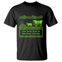 Retro 8-Bit Pixel 80s Game Over Parody Graphic T Shirt You Have Died Of Diarrhea Lettuce
