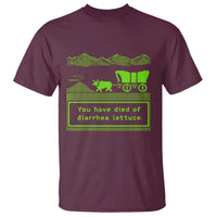 Retro 8-Bit Pixel 80s Game Over Parody Graphic T Shirt You Have Died Of Diarrhea Lettuce