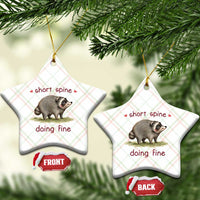 Cute Watercolor Jimothy the Raccoon Inspirational Ceramic Ornament Short Spine Doing Fine Viral Seattle Trash Panda Supporter