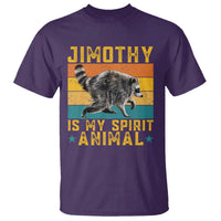 Jimothy Is My Spirit Animal Seattle Raccoon Lover T Shirt Retro Sunset Viral Ballard Trash Panda Graphic