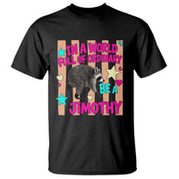 In A World Full Of Ordinary Be A Jimothy Preppy Style T Shirt Cute Y2K Pop Seattle Raccoon Legend Graphic