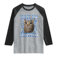 Funny Cat Blue Flame Y2K Bootleg Meme Graphic Raglan Shirt Wait Im Goated Retro Internet Culture Humor