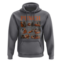 Cute Baby Monkey Punch with Plush Toy Graphic Hoodie