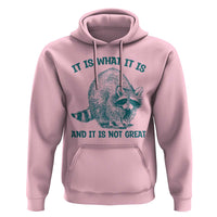 Funny Raccoon Meme It Is What It Is Hoodie And It Is Not Great Mental Health Support - Wonder Print Shop